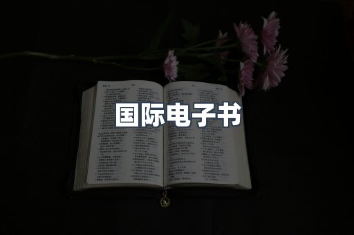 国际电子书